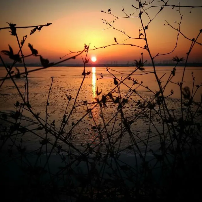 Sky Lover