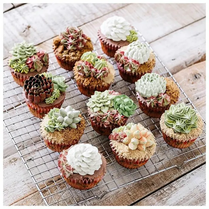 Succulent Cakes By Ivenoven Will Make Every Succulent Lover's Mouth Water