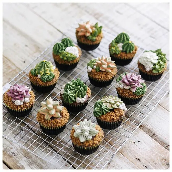 Succulent Cakes By Ivenoven Will Make Every Succulent Lover's Mouth Water
