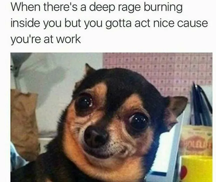 Funny work meme with a dog making an awkward smile, portraying hidden frustration at the office.