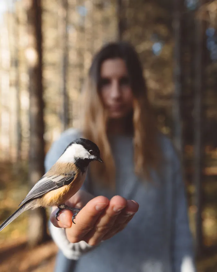 How I Got Seduced By Wildlife Photography