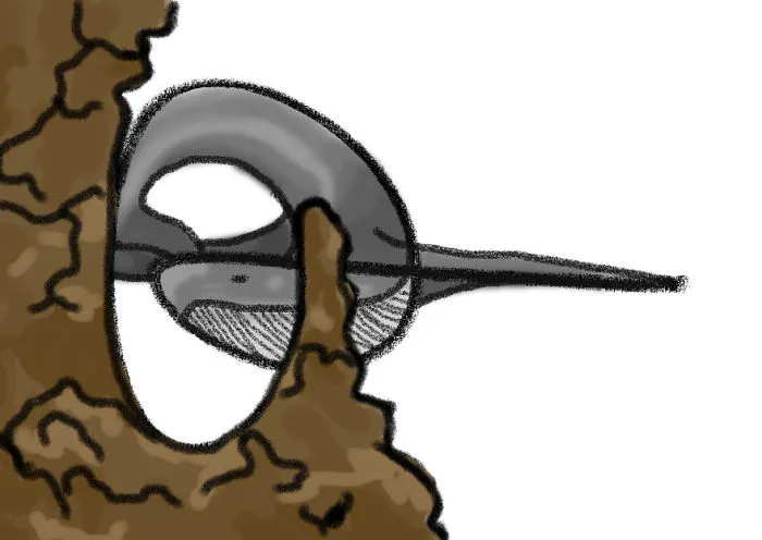 Whale