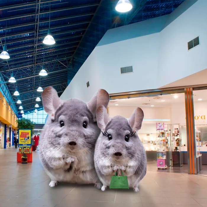 Shopping Centre