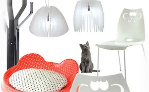 Designer, Maurizio Di Marzio Talking About “ddplus Design & Pet” And The Philosophy Behind This New Italian Brand.