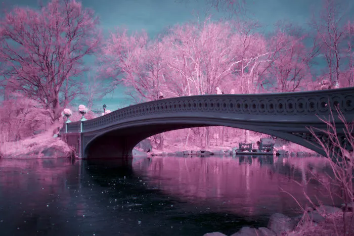 I Captured How New York Would Look Like If You Saw It In Infrared