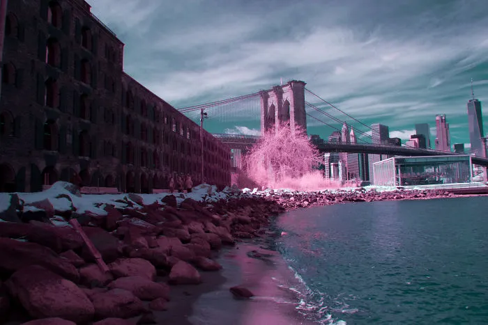 I Captured How New York Would Look Like If You Saw It In Infrared