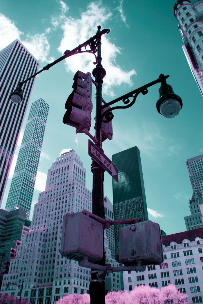 I Captured How New York Would Look Like If You Saw It In Infrared