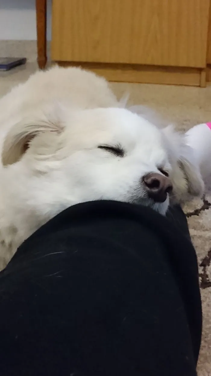 Mr. Johny Melting On My Leg.
