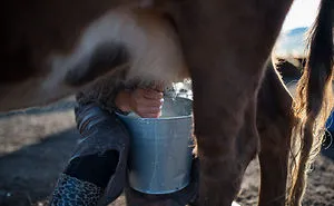 Discover The Culture And Traditions Of The Nomadic Lifestyle
