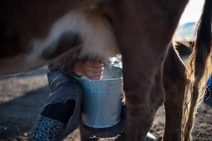 Discover The Culture And Traditions Of The Nomadic Lifestyle