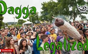 South African High Court Legalized Cannabis