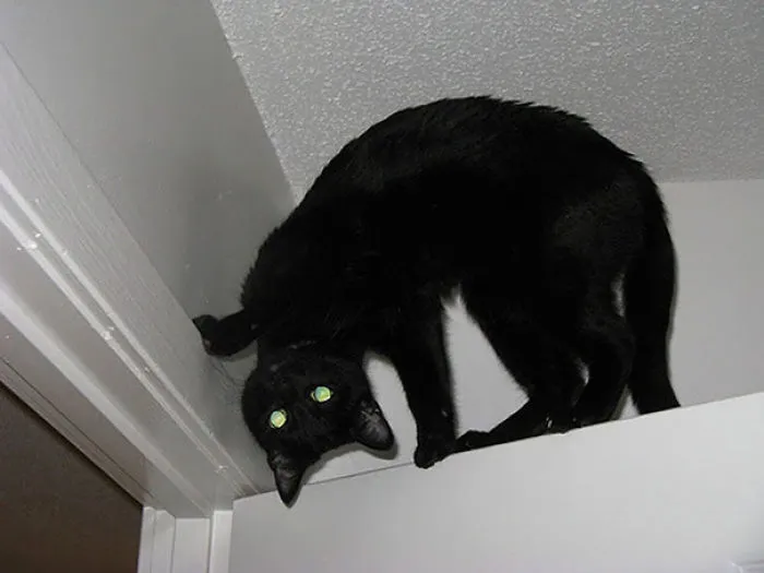 Llamad al exorcista