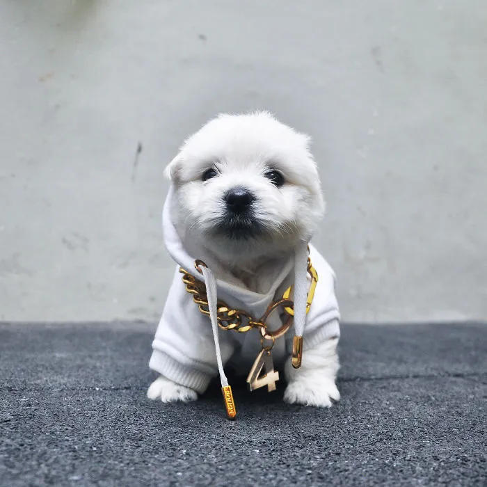 Fours Dresses Your Pets Like Snoop Dogg