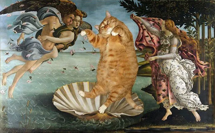 Sandro Botticelli, The Birth Of Cat