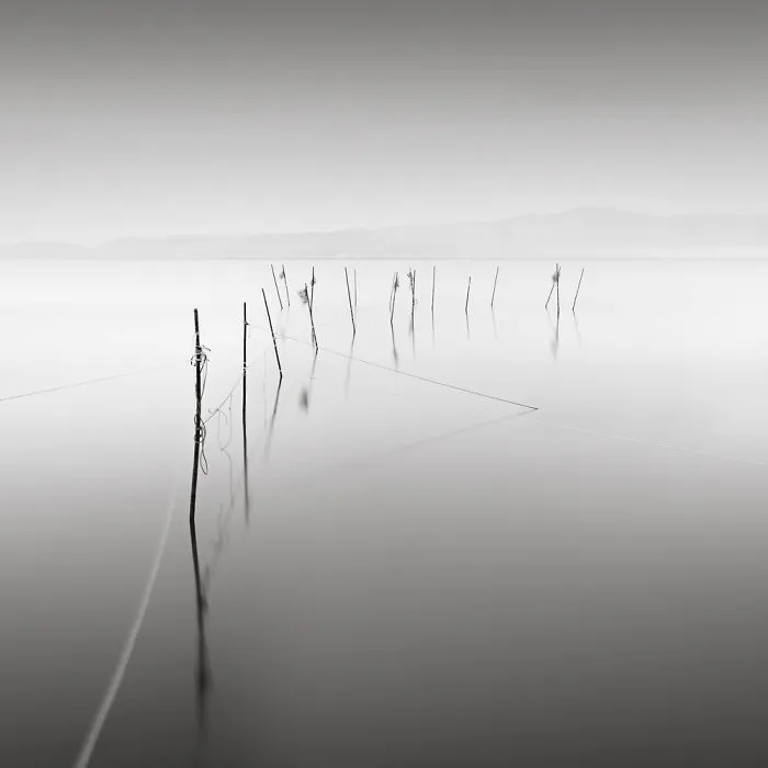 Fish Trap
