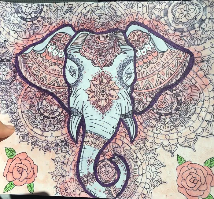 Spent 1 Week On This Elephant Drawing
