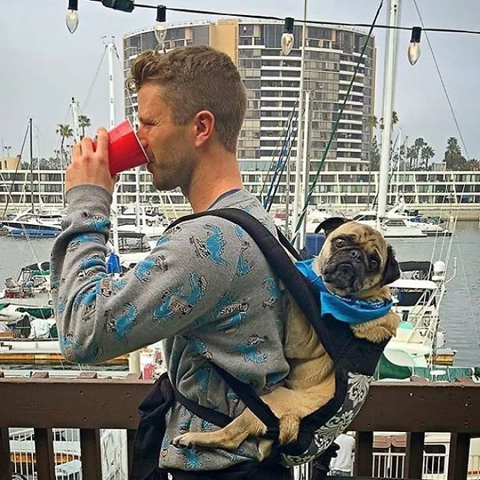 This Instagram Of Hot Dudes With Dogs Brings Two Of Our Favorite Things Together