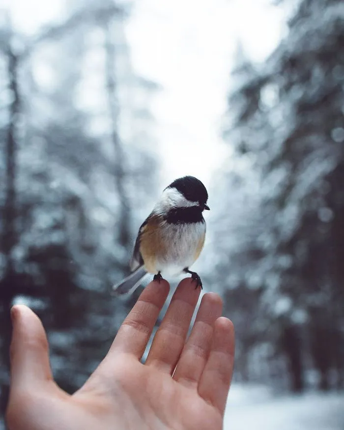 How I Got Seduced By Wildlife Photography