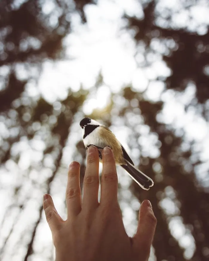 How I Got Seduced By Wildlife Photography