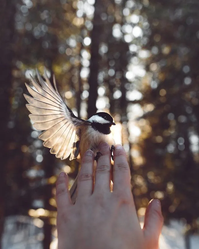 How I Got Seduced By Wildlife Photography