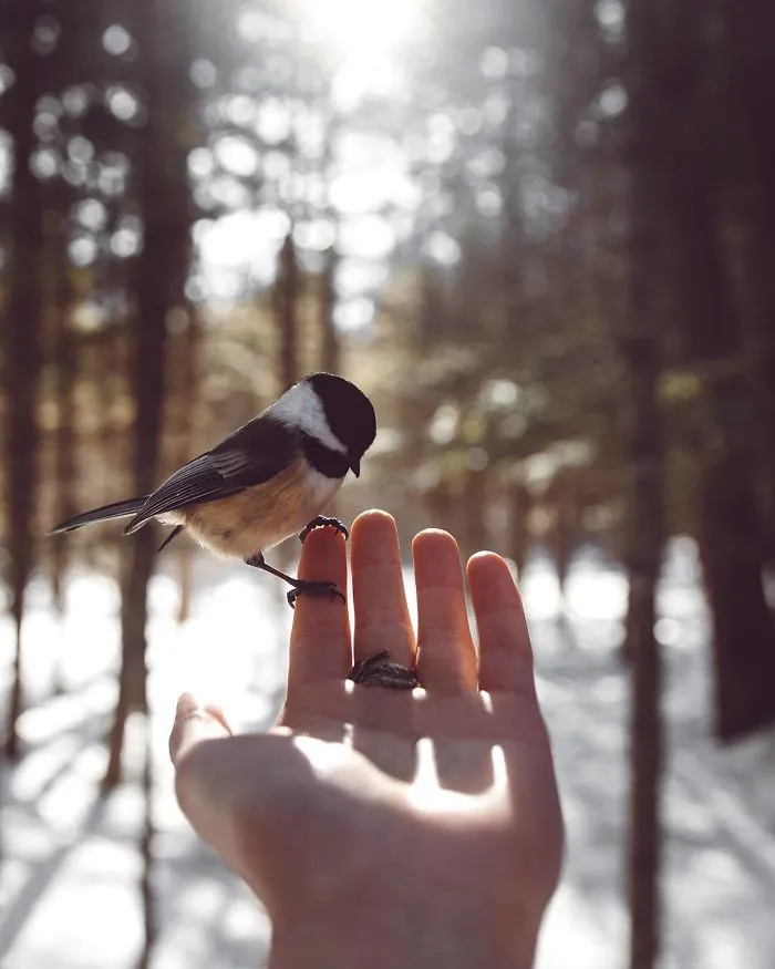 How I Got Seduced By Wildlife Photography