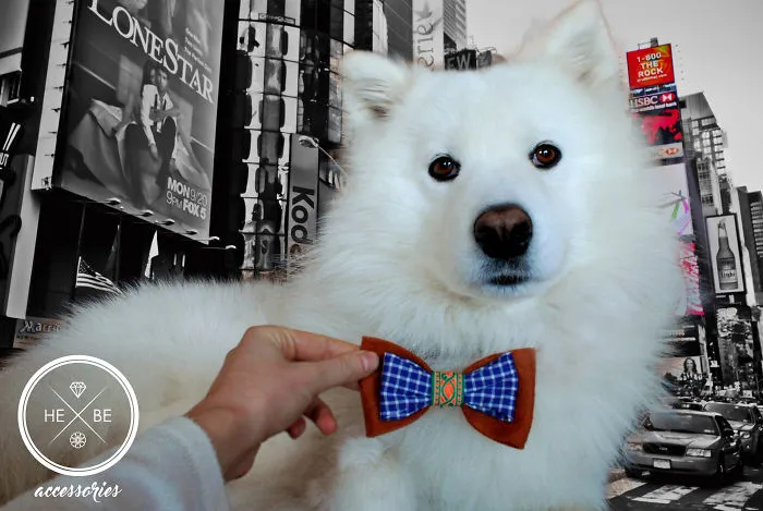 I Make Bow Ties For Dogs And Their Owners