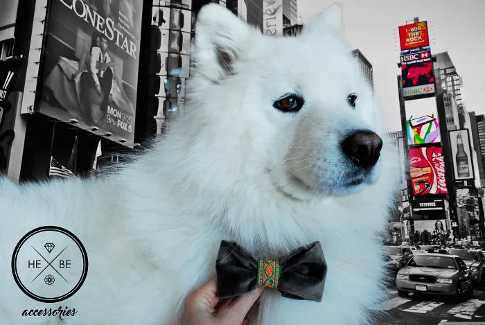 I Make Bow Ties For Dogs And Their Owners