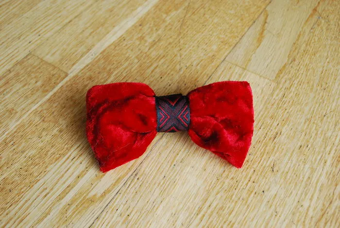I Make Bow Ties For Dogs And Their Owners