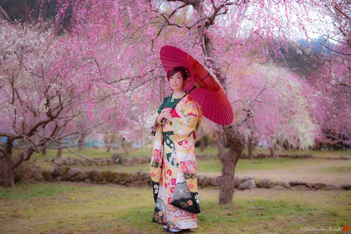 I Captured Plum Trees Blooming In Japan (Part 2)