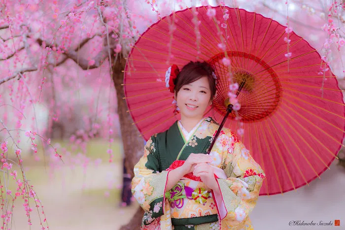 I Captured Plum Trees Blooming In Japan (Part 2)