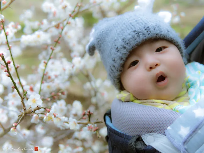 I Captured Plum Trees Blooming In Japan (Part 2)