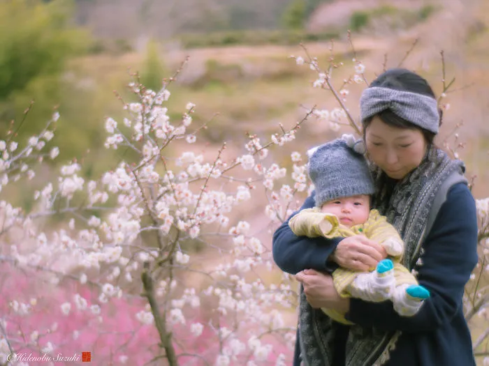 I Captured Plum Trees Blooming In Japan (Part 2)