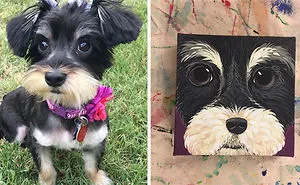 Challenge: Draw A Picture Of Your Pet And Post It Here With A Photo