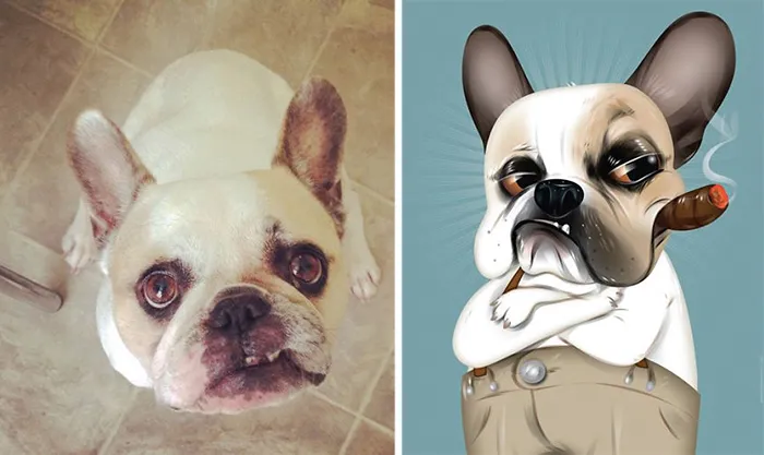I Draw Pets Based On Their Personalities, Baby Man Here Lives In Cali But His Soul Is All Bronx