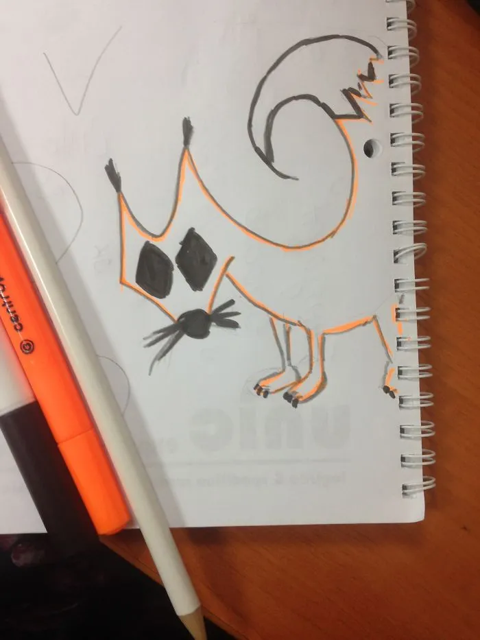 Here Is A Fox