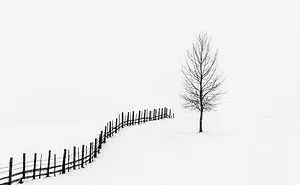 Silence