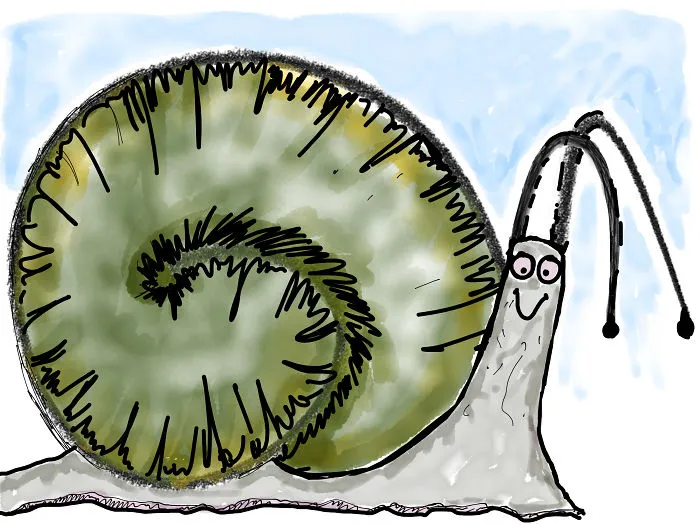 From Snale To Escargot...