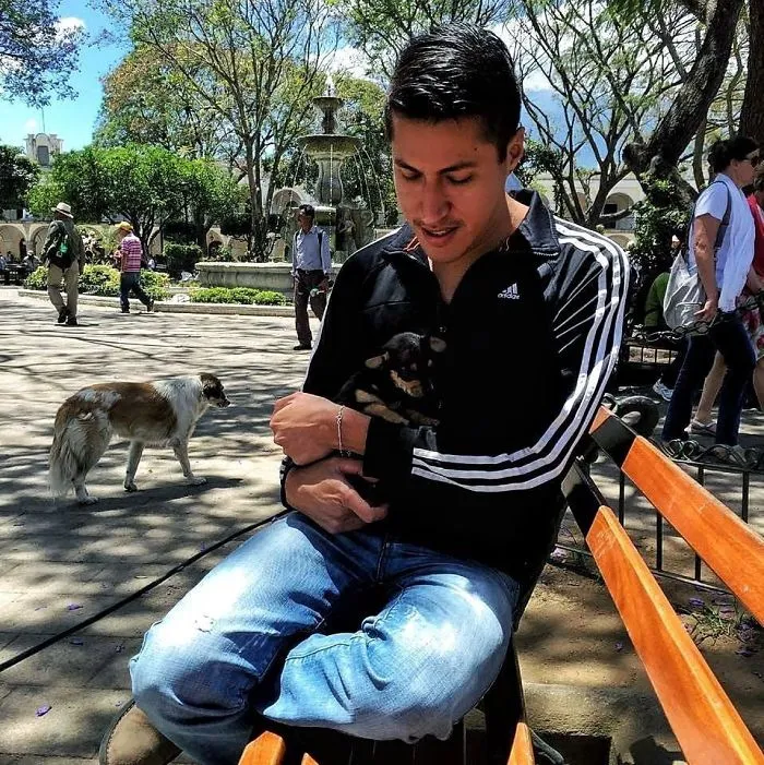 Our Chihuahua, Kody, Taken To The Park For The First Time. My Boyfriend Cried A Lot When He First Met Him Earlier That Day. He'd Been Wanting To Have One For A Long Time. 😭😍