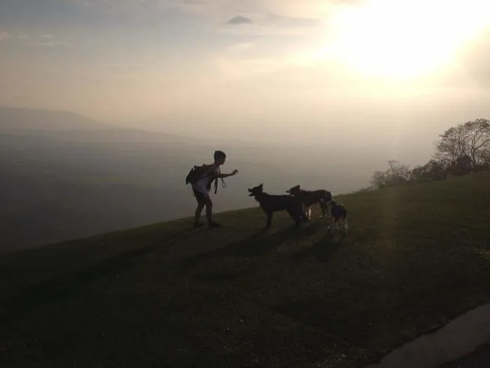 They Make Adventures More Fun