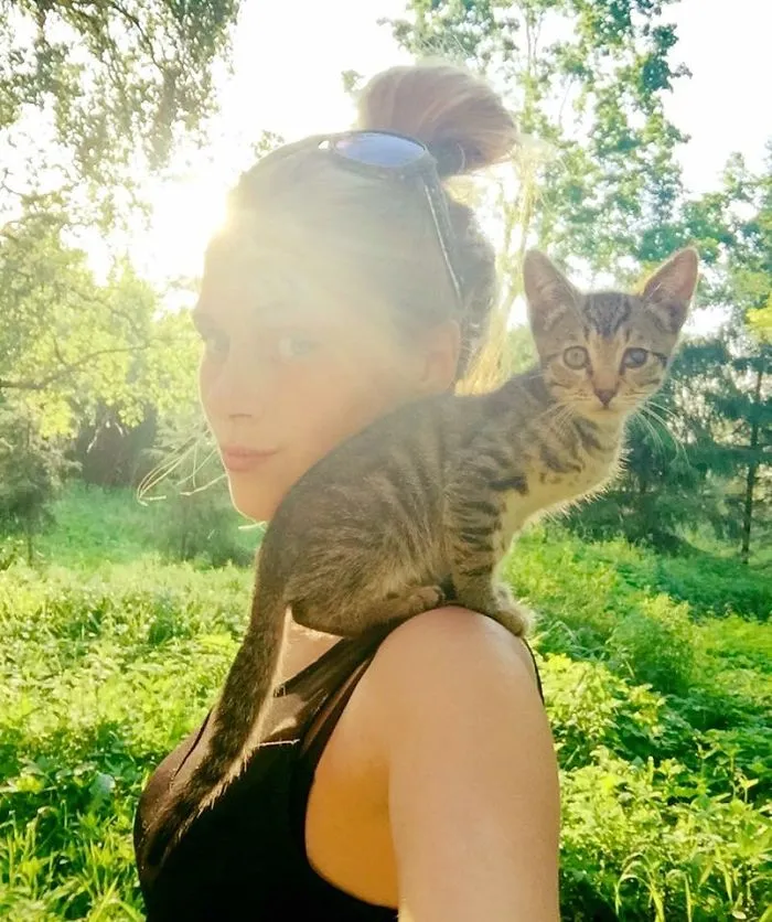 Esta chica letona ha rescatado a más de 350 gatos sin hogar durante los últimos 2 años