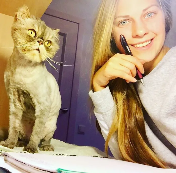 Esta chica letona ha rescatado a más de 350 gatos sin hogar durante los últimos 2 años