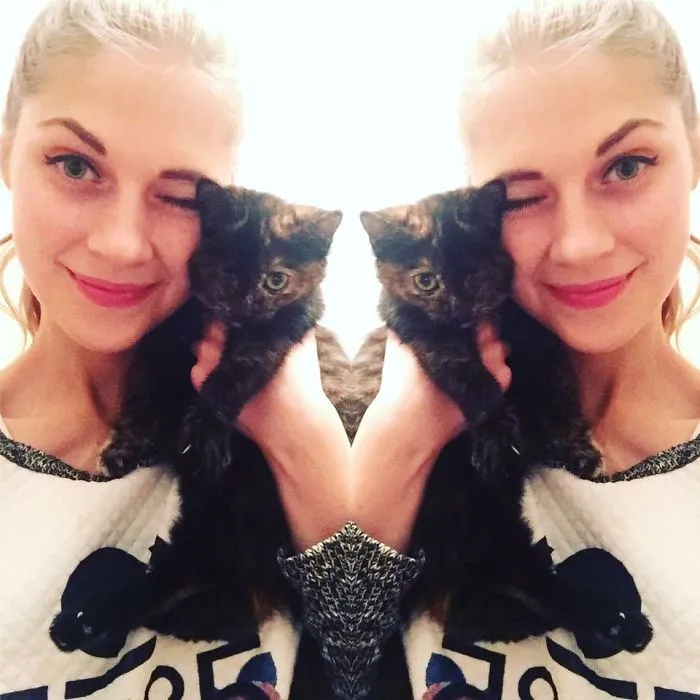 Esta chica letona ha rescatado a más de 350 gatos sin hogar durante los últimos 2 años