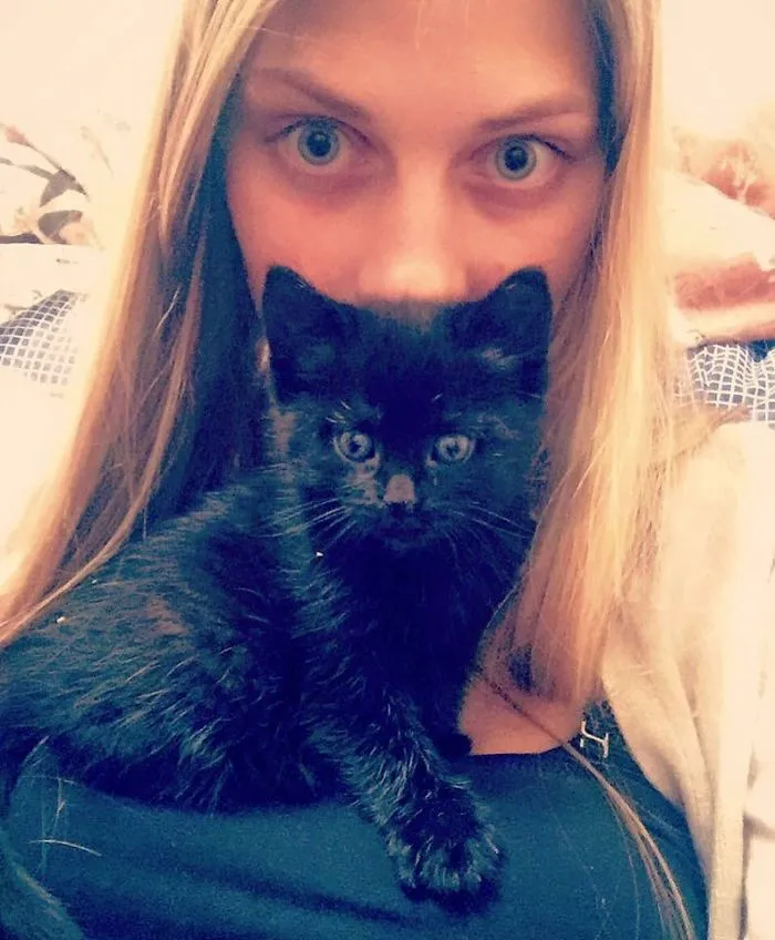 This Girl From Latvia Rescued More Than 350 Homeless Cats During Last 2 Years