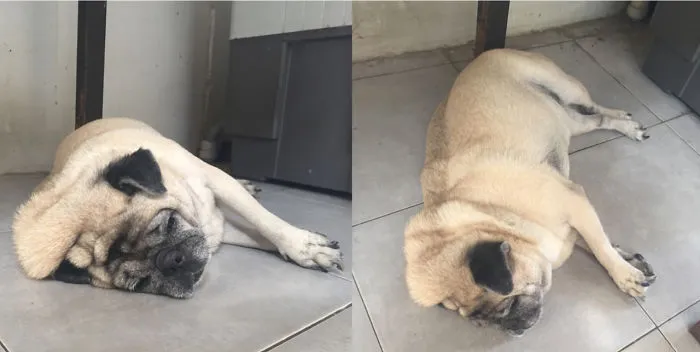 She Starts To Melt At 30c°