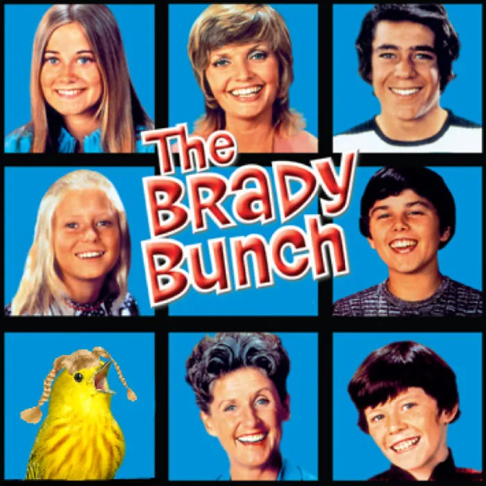 The Birdy Bunch