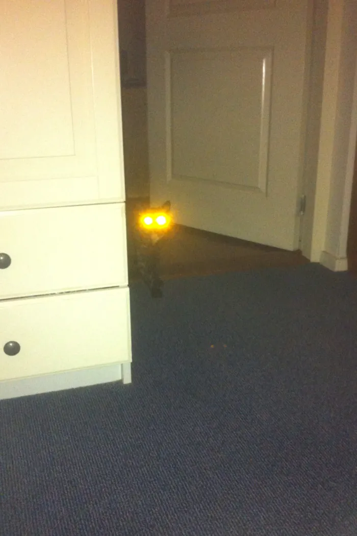 I'm Here To Collect You..