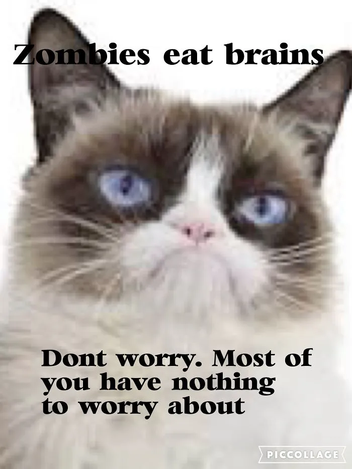 Grumpy Cat For Life