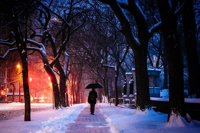 Stella Snow Storm In Nyc