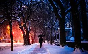 Stella Snow Storm In Nyc