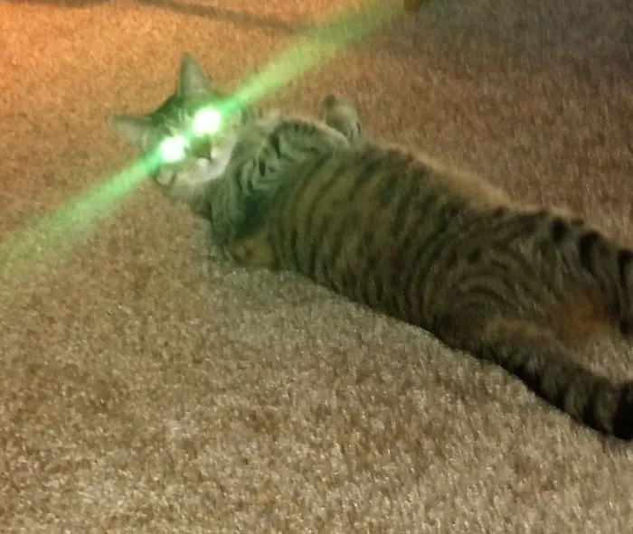 Possessed I Tell You.